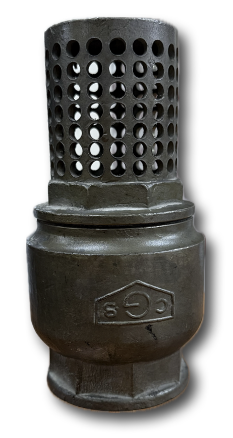 FOOT VALVE 2-1/2"