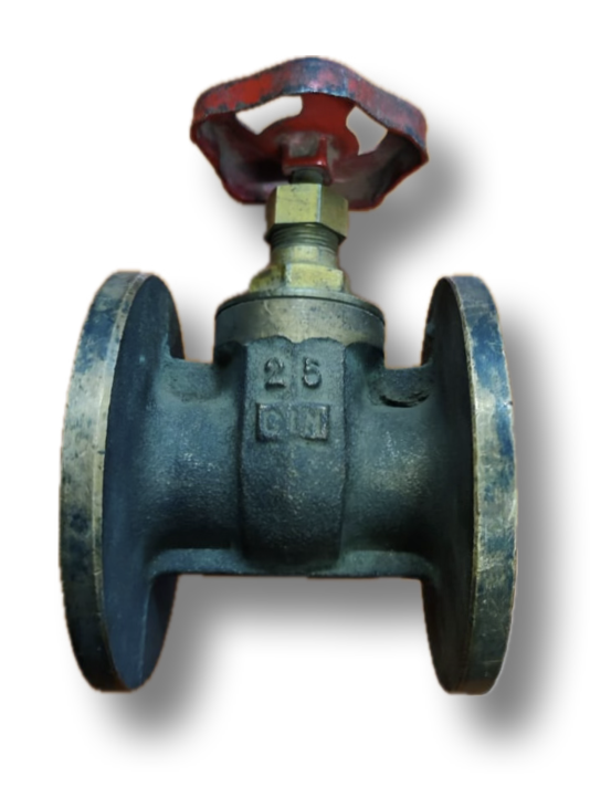 GATE VALVE BRONZE 1" PN6 FLANGED