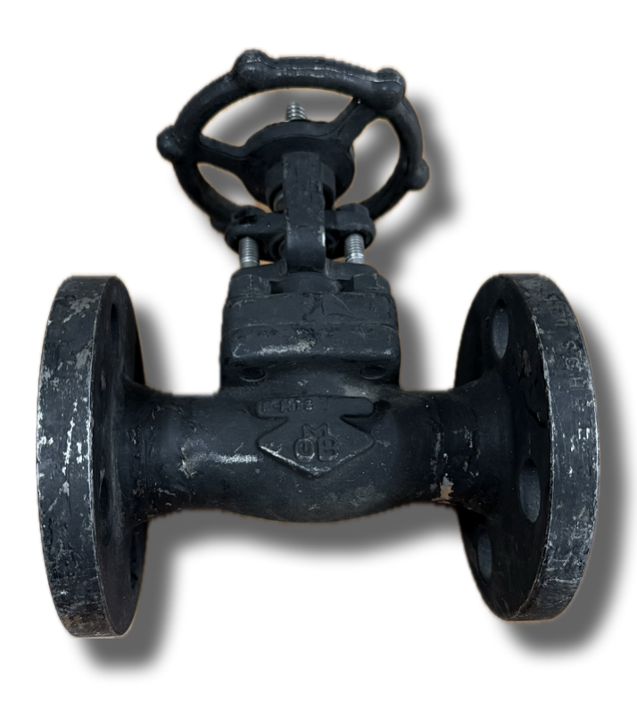GATE VALVE CLASS 800 3/4" FLANGED ITALY