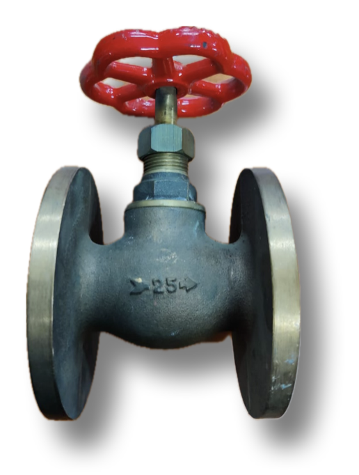 GLOBE VALVE 1" BRONZE THREADED AND FLANGED