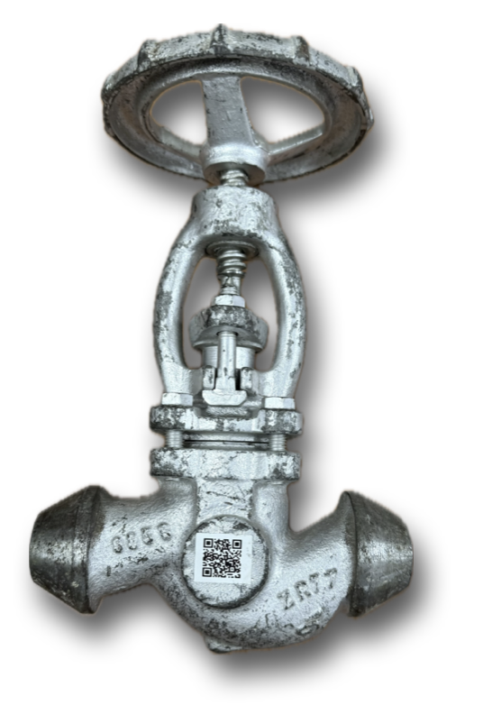GLOBE VALVE 1" CL800 AMMONIA