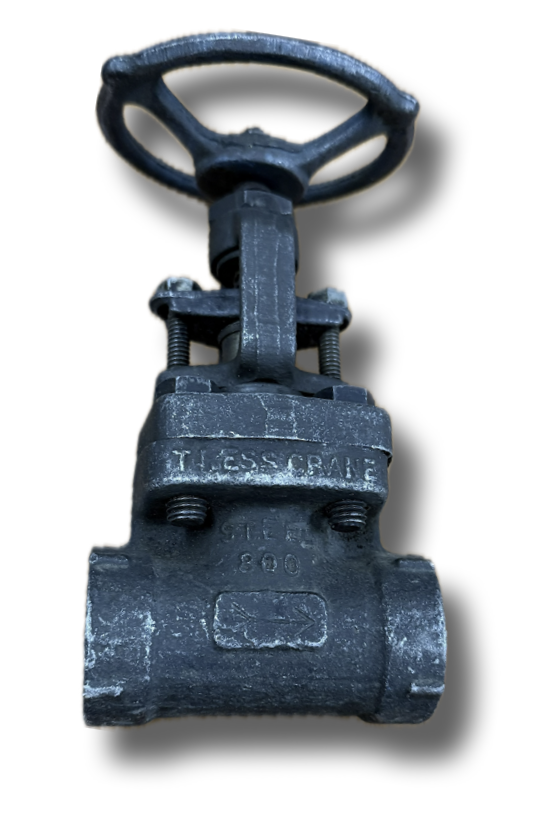 GLOBE VALVE 3/4" CL800 WELDON CRANE