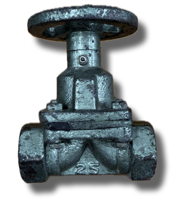 DIAPHRAGM VALVE 1" THREADED