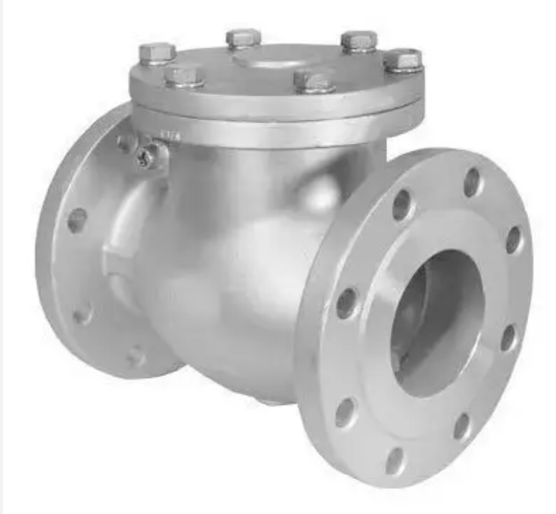 CAST STEEL NRV 2" CL300 FLANGED TRIANGLE (FLAP)