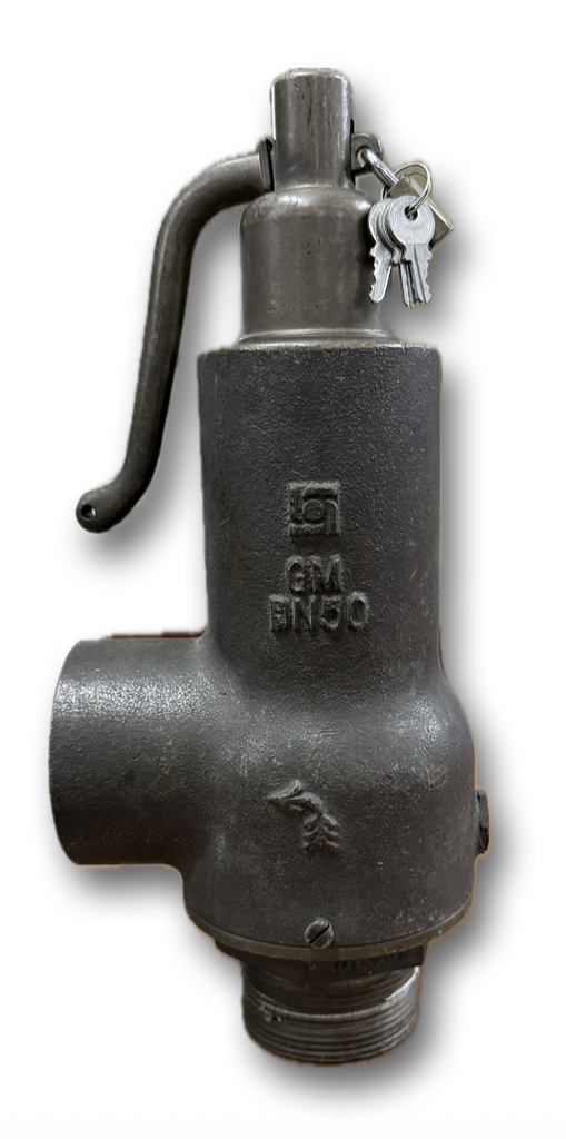 SAFETY VALVE 2" BOSS