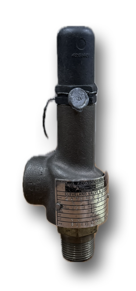 SAFETY VALVE 3/4" DRESSER SET 125PSI