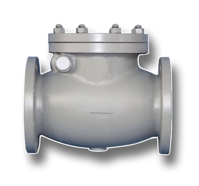 CAST IRON NRV 2" PN16 (FLAP) FLANGED