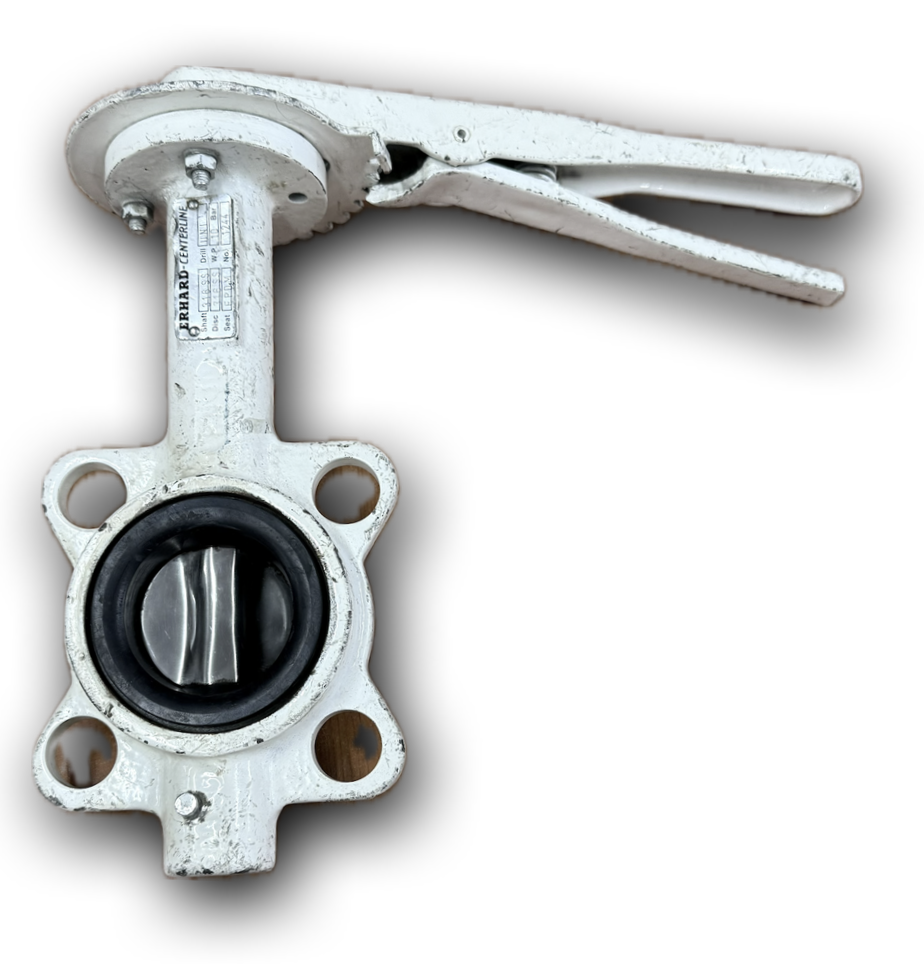 BUTTERFLY VALVE 2" SS DISC ERHARD