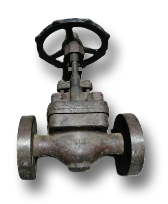 CAST STEEL GATE VALVE 1" CL300 HOPKINSONS