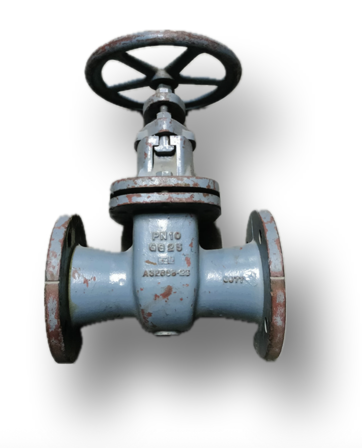 SLUICE VALVE 2-1/2" ERHARD 