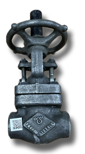 [5002] GATE VALVE CLASS 800 3/4" WELDON ALCO ITALY