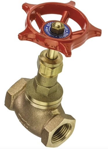 [5101] PEGLER GLOBE VALVE 1"