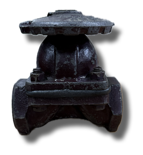 [5193] DIAPHRAGM VALVE 3/4" THREADED METAL HANDLE SAUNDERS