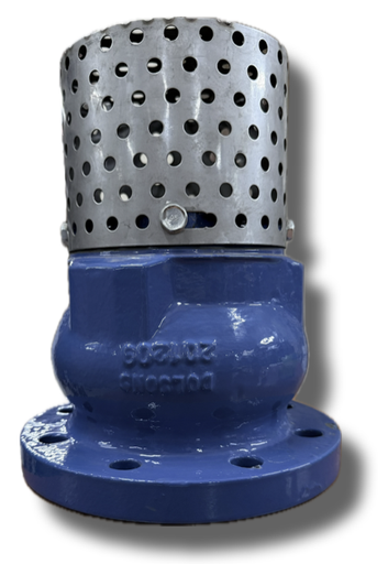 [9500] FOOT VALVE 4" FLANGE CAST IRON DOLSONS UK