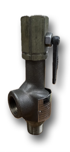 [10564] SAFETY VALVE 3/4" DRESSER SET 125PSI