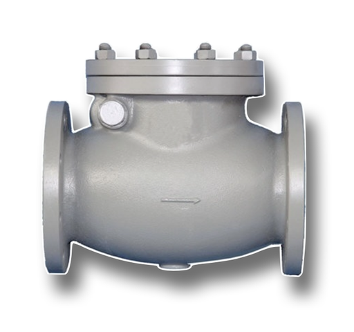 [11221] CAST IRON NRV 2" PN16 (FLAP) FLANGED